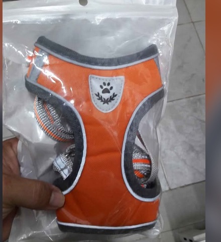 Harnais pour petit chien